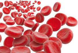 Anomalitë e hemoglobinës