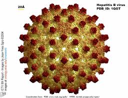 Hepatiti kronik